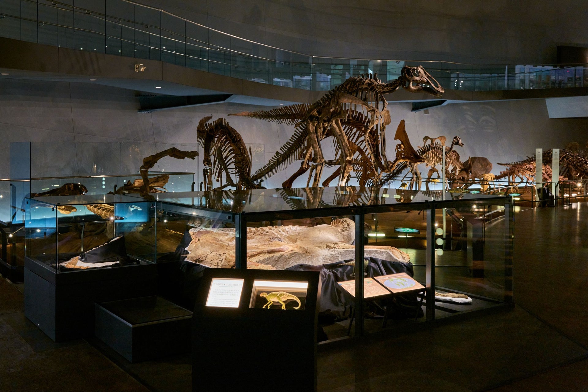 福井県立恐竜博物館